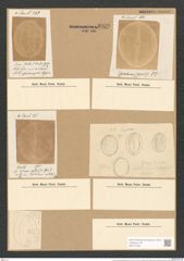 Cocconeis pseudomarginata Greg. (de-Toni-Nr.: Genus 40, Species 1851) Zeichnungen Sammlung Grunow Nr. 3668 (NHMW-BOT-W0371283)
